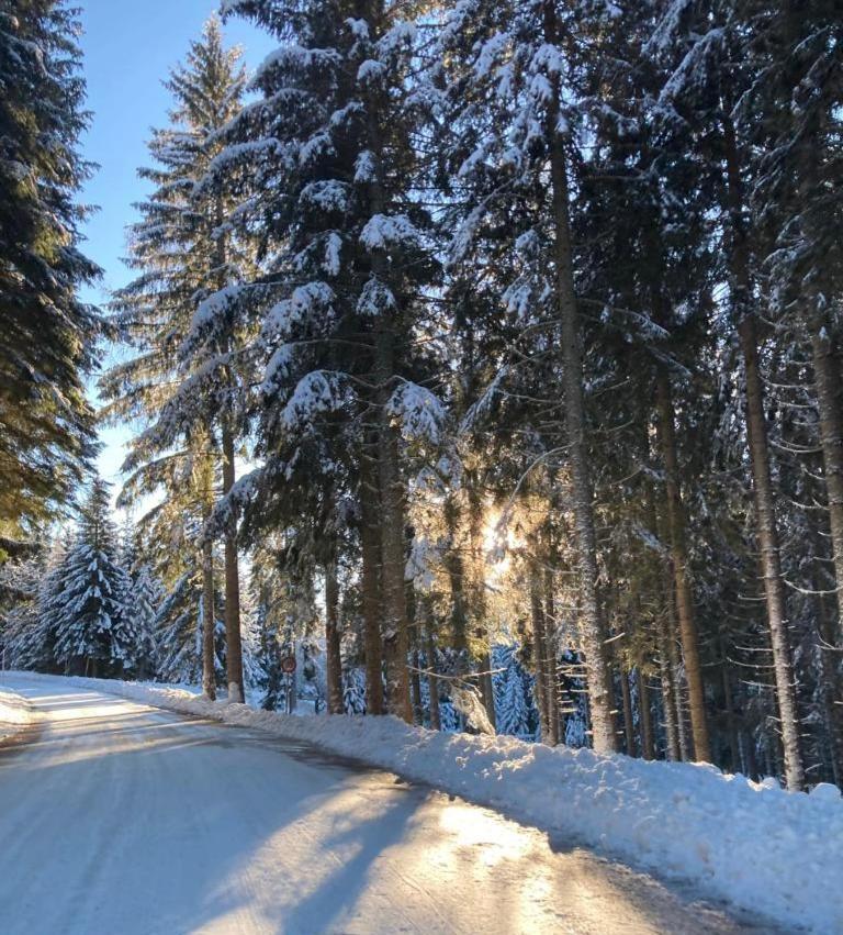 Familienapartment Sonne Und Schnee Apartment *
